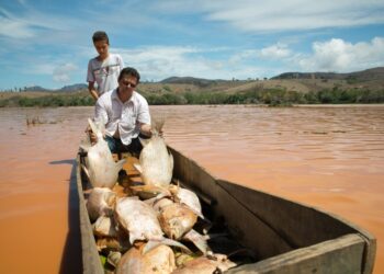 Decisão da Justiça contra a Samarco  pode beneficiar 3 mil guanduenses com indenizações