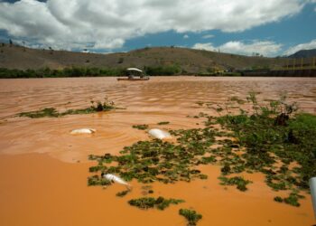 Indenizações da Samarco já somam R$ 315 milhões em Baixo Guandu, segundo a Fundação Renova
