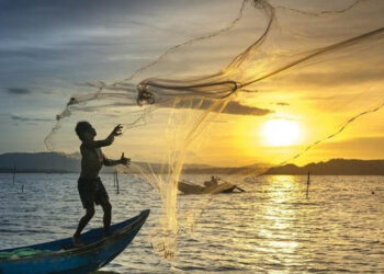 Pescadores regularizados podem se inscrever em edital para receber apoio à retomada produtiva