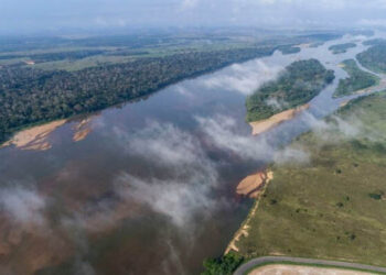 Estudo inédito identifica o risco de extinção de espécies aquáticas da bacia do rio Doce