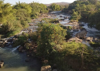 Com apenas 313mm de chuvas neste ano, estiagem em Baixo Guandu preocupa produtores