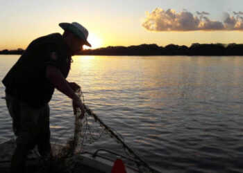 Edital de apoio a grupos produtivos de pesca aquicultura é prorrogado até dia 22/10