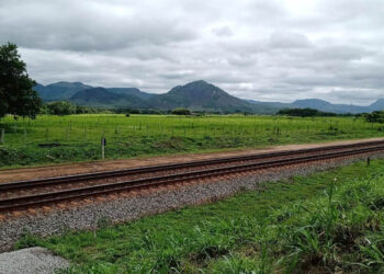 Chuvas devolvem o verde e enchem córregos e rios no interior de Baixo Guandu e região