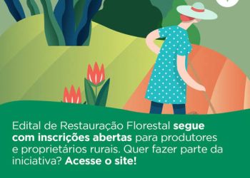 Programa da Renova de restauração florestal paga aos produtores e continua com inscrições abertas