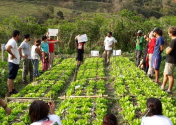 Curso técnico de agroecologia em parceria com a Fundação Renova tem início no IFES de Santa Teresa
