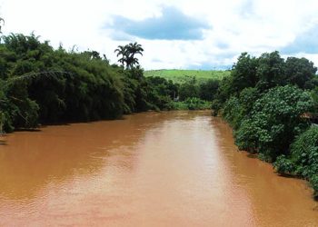 Bacia do rio Guandu terá R$ 135 milhões para restauração florestal em mais de 5 mil hectares