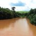 Bacia do rio Guandu terá R$ 135 milhões para restauração florestal em mais de 5 mil hectares