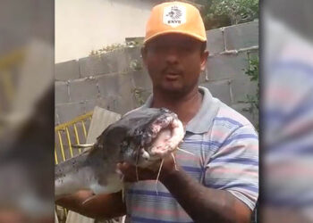 Pescador publica vídeo com peixe que teria sofrido mutações com poluição do rio Doce