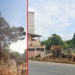 Destruição sem fim: Prefeitura corta mangueiras centenárias que fizeram história em Baixo Guandu