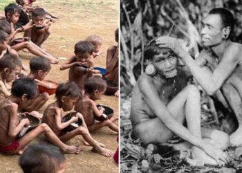 Tragédia humanitária dos Yanomami lembra extermínio dos índios Botocudos no Espírito Santo