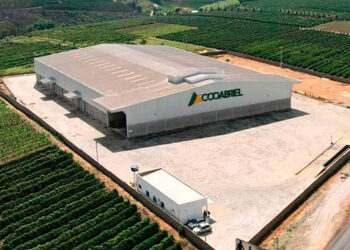 Maior cooperativa de conilon do país, Cooabriel fatura R$ 1,84 bilhão e dobra de tamanho em dois anos