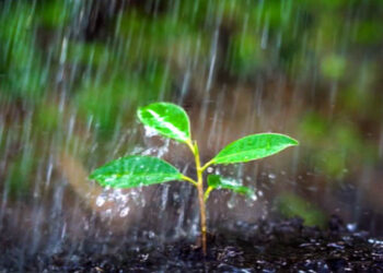 Chuva superior a 100mm surpreende no final de semana e anima setor rural na região