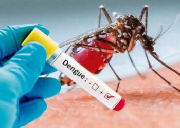 Espírito Santo e mais seis Estados já vivem epidemia de dengue, segundo a Opas