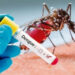 Espírito Santo e mais seis Estados já vivem epidemia de dengue, segundo a Opas