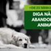 Dezembro é mês de conscientização contra o abandono e maus tratos com animais