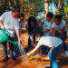 Parque Botânico Aliança Energia celebra 16 anos de educação ambiental em Aimorés
