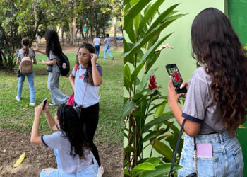 Finalistas do 2º Concurso de Fotografia da Aliança Energia disputam votação popular no Instagram