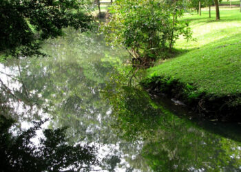 Chuva de 180mm em janeiro enche córregos e traz ânimo ao meio rural em Baixo Guandu