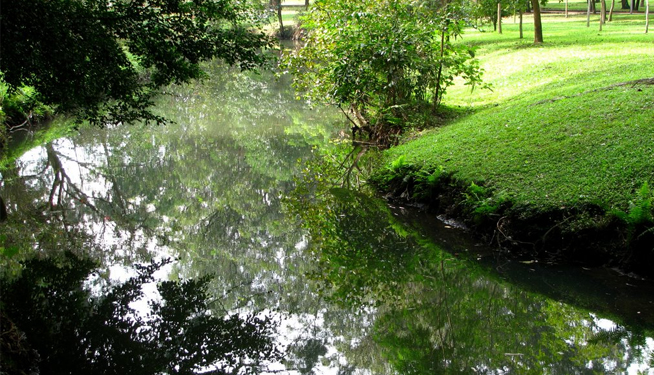 Chuva de 180mm em janeiro enche córregos e traz ânimo ao meio rural em Baixo Guandu