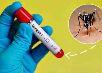 Gravidade da dengue em Baixo Guandu provoca reunião de emergência com a SESA