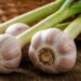 Após 30 anos, cultura do alho retorna com força na região Serrana do ES