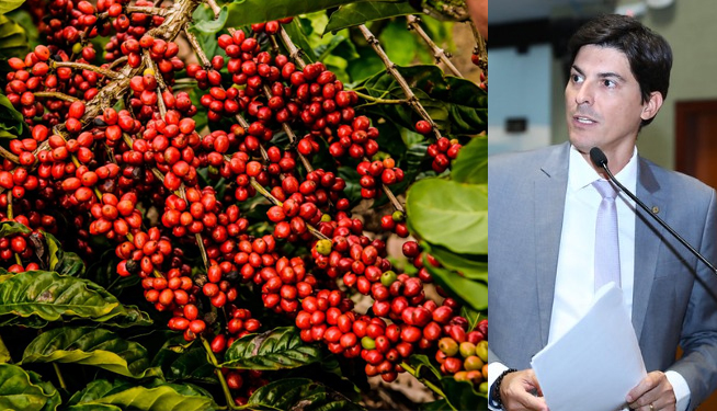 ALES aprova projeto que cria a Rota do Café Conilon, abrangendo 8 municípios capixabas