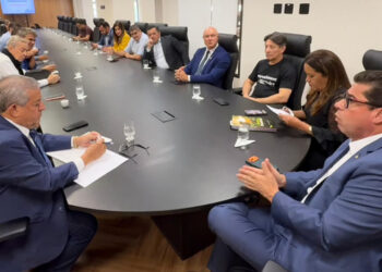 Assembleia Legislativa reune deputados para orientar conduta no período eleitoral