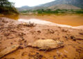 Laudo particular mostra contaminação grave no rio Doce: atingidos vão a Brasília denunciar