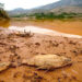 Laudo particular mostra contaminação grave no rio Doce: atingidos vão a Brasília denunciar