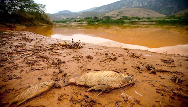 Laudo particular mostra contaminação grave no rio Doce: atingidos vão a Brasília denunciar