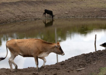 Estado se prepara para enfrentar El Nino e anuncia força-tarefa com várias ações