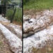 Chuva de granizo em vários pontos de Baixo Guandu causa curiosidade, mas sem prejuízos